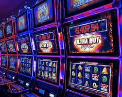 9kwin Sportsbook Odds